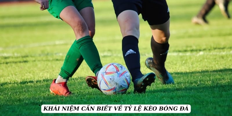 ty-le-keo-khai-niem-can-nam